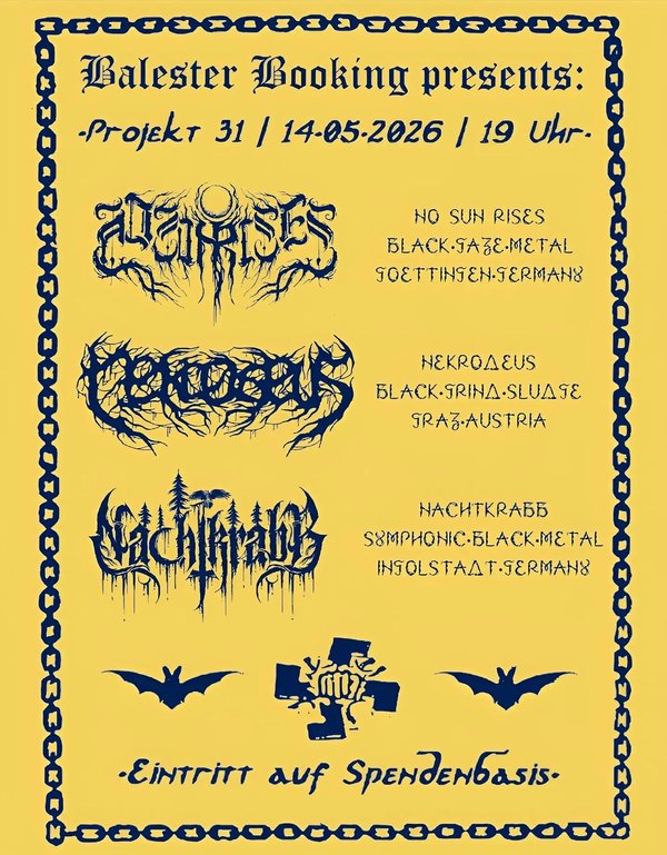 Projekt 31 flyer